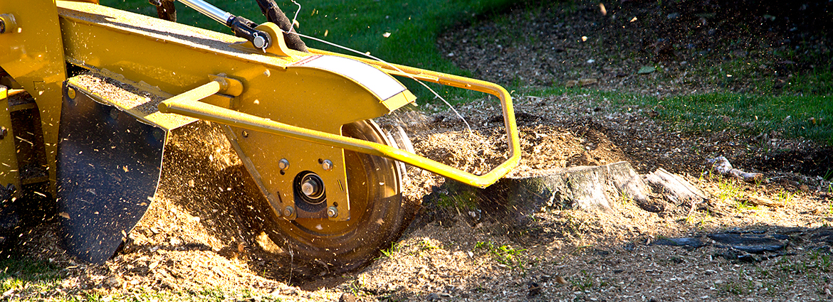 VT Stump Removal